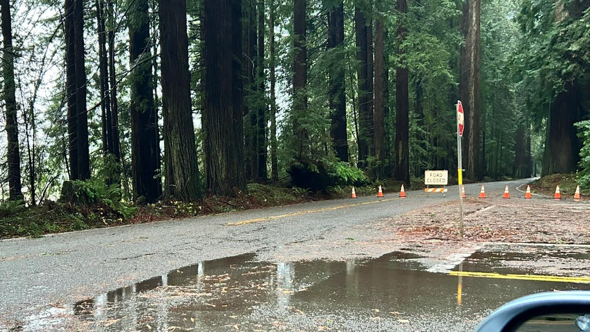 Highway 254 closed on Saturday, January 3, 2026