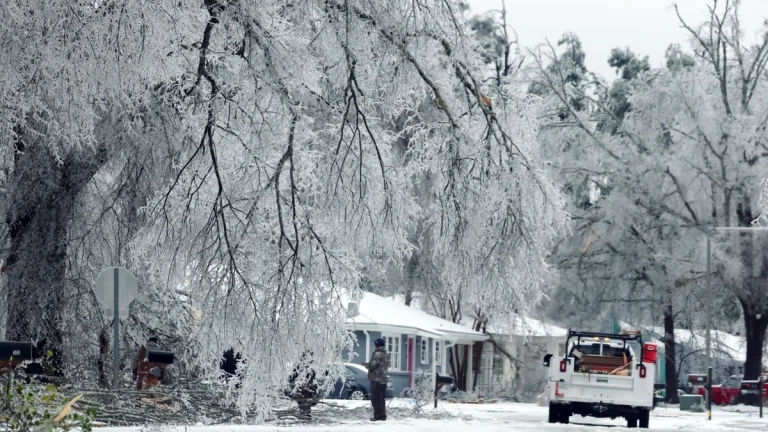 Ice covered tree branches in Oxford, Mississippi, on January 25, 2026. Credit: City of Oxford