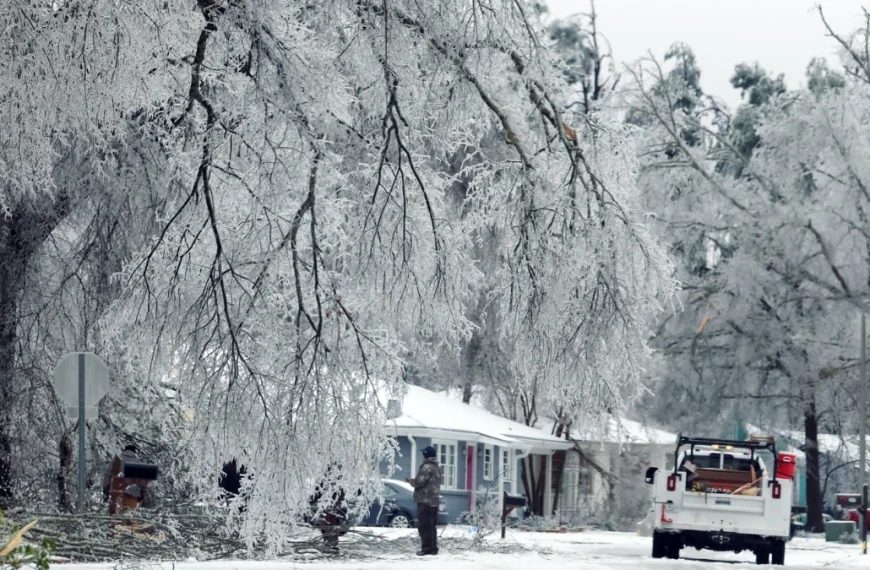 Ice covered tree branches in Oxford, Mississippi, on January 25, 2026. Credit: City of Oxford