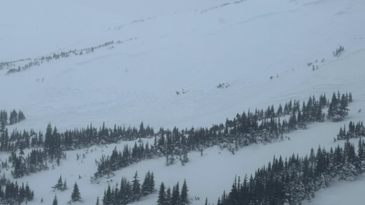Photo of the avalanche near Tumbler Ridge, British Columbia that killed a snowmobiler on December 30, 2025