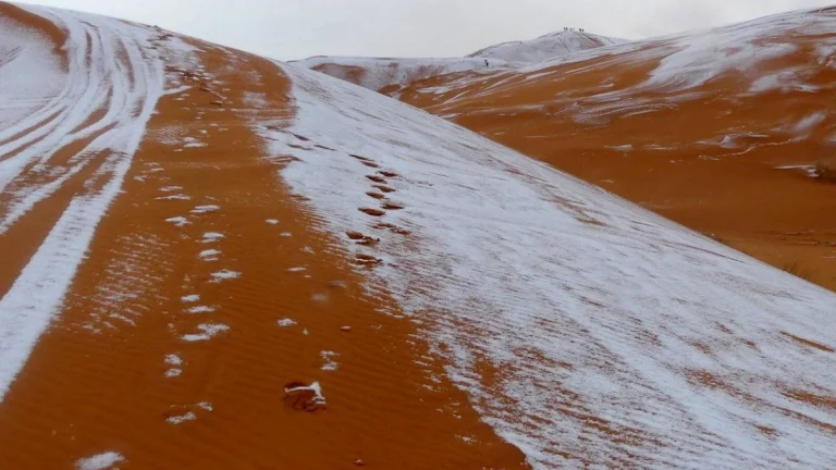 Snow cover on Saharan sand dunes in Aïn Séfra, Algieria on January 17, 2026. Credit: Karim Bouchetata