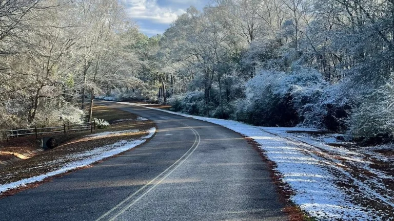 Snowfall at Jackson State Park Alabama on January 18, 2026