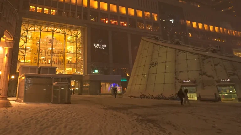 Snowfall in Sapporo, Japan, Jan 26, 2026