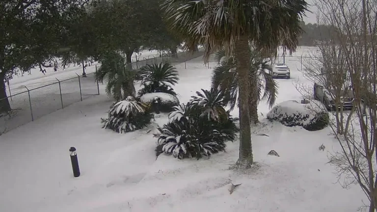 florida snow january 2025 nws mobile pensacola office