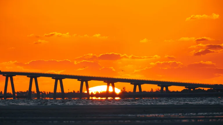 florida sun