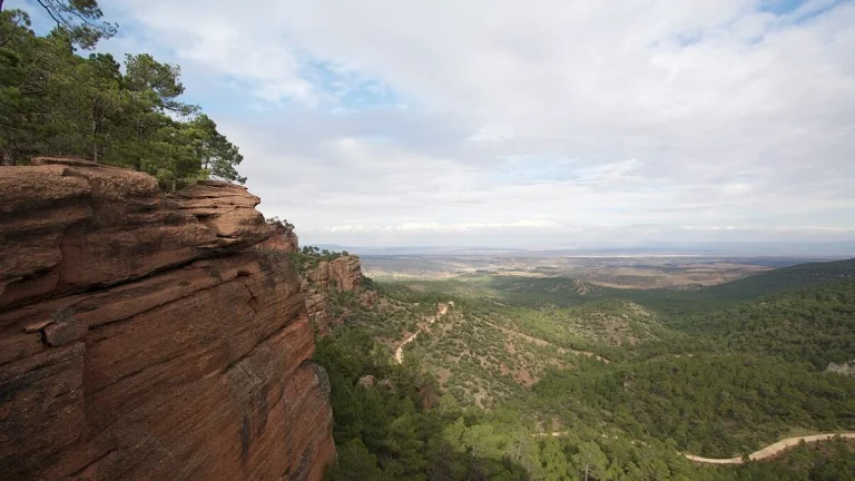 Protected Landscape of the Ródeno Pine Forests, near Teruel, Spain. Credit: Manuel Alende Maceira