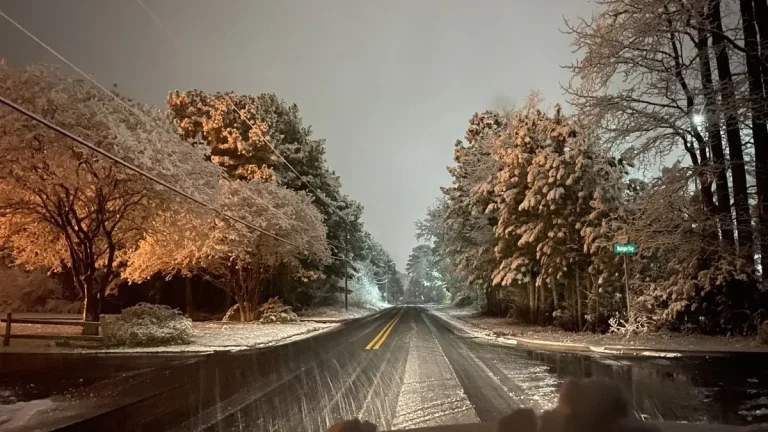 snow on the VA Eastern Shore february 2020 by miaya dennis f