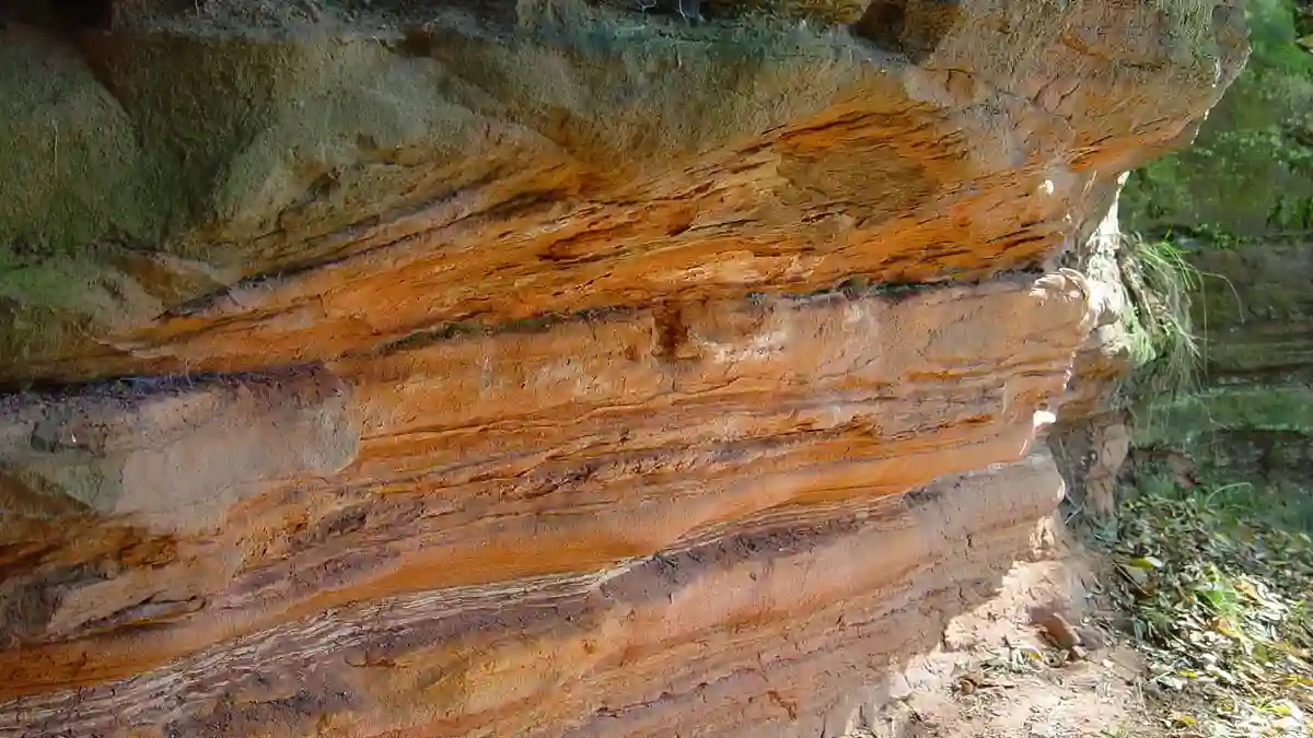 Early Triassic sandstone (Buntsandstein) near Stadtroda, Germany
