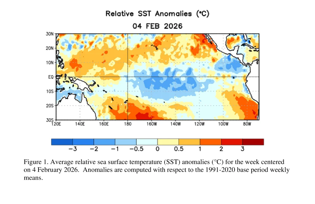 Relative SST anomalies feb 4 2026
