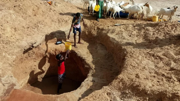 Severe drought conditions in Tana River County forces people to dig wells around dry river bed in search of water