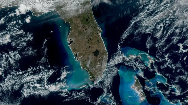Smoke rising from The National Fire in Big Cypress National Preserve on February 25 2026