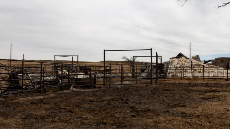 Wildfire damage in Oklahoma February 18, 2026