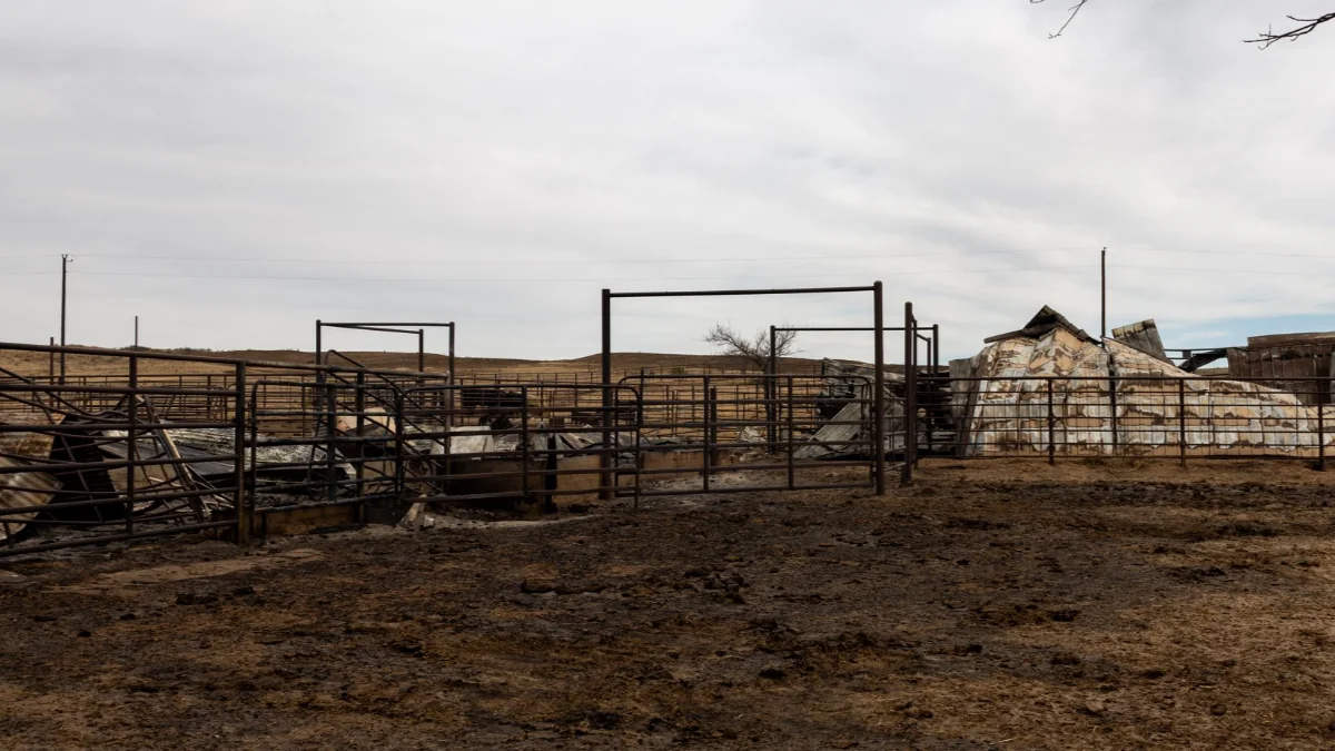 Wildfire damage in Oklahoma February 18, 2026