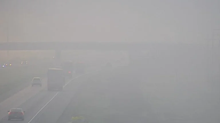 dense fog california jan 30 2026