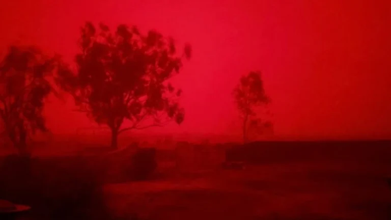 dust storm nsw australia january 31 2026 jcbcullen