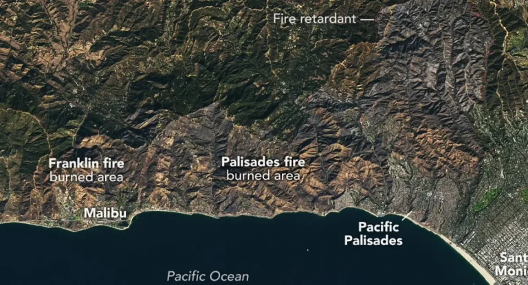 palisades burned area california jan2025