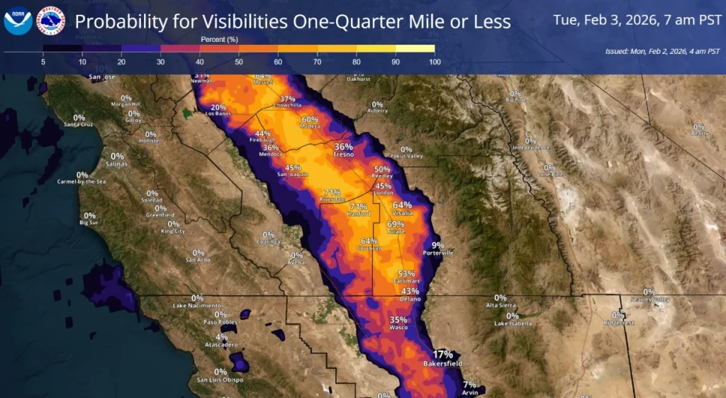 probability of visibility tule fog california feb 3 2026