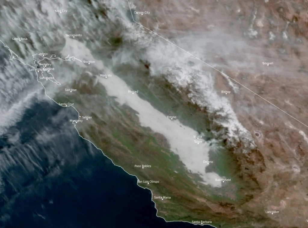 satellite image tule fog 1910 utc january 31 2026