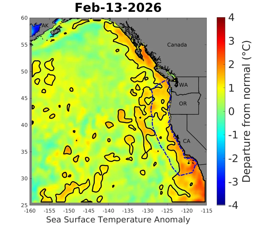 Sea surface temperature anomalies (SSTa) in the California Current ecosystem, February 13, 2026