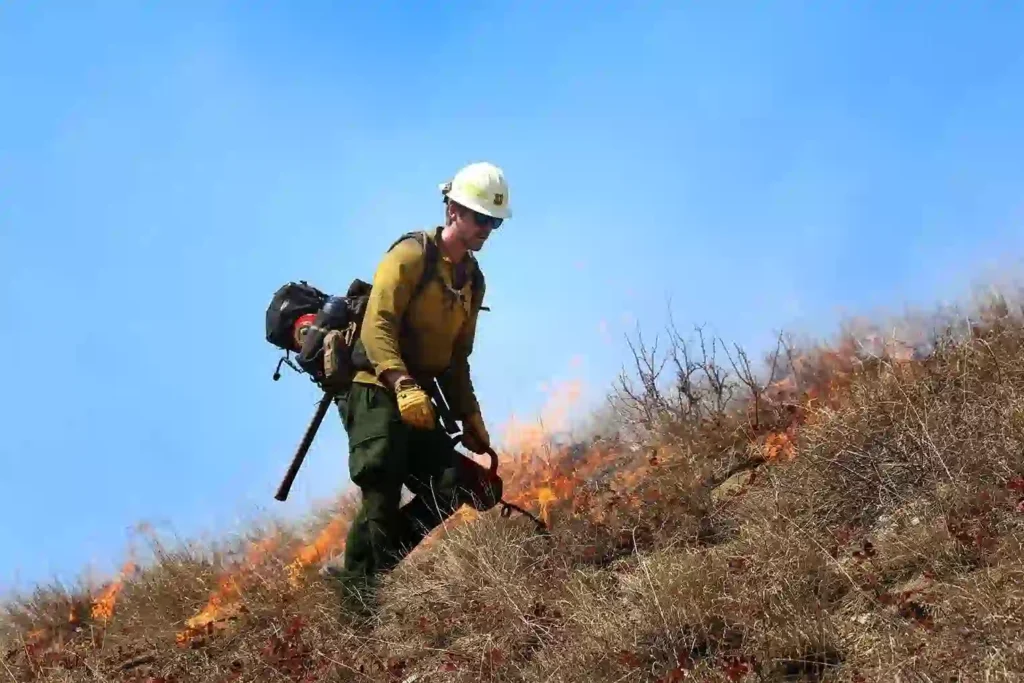 Star Valley Front Prescribed Fire, Wyoming