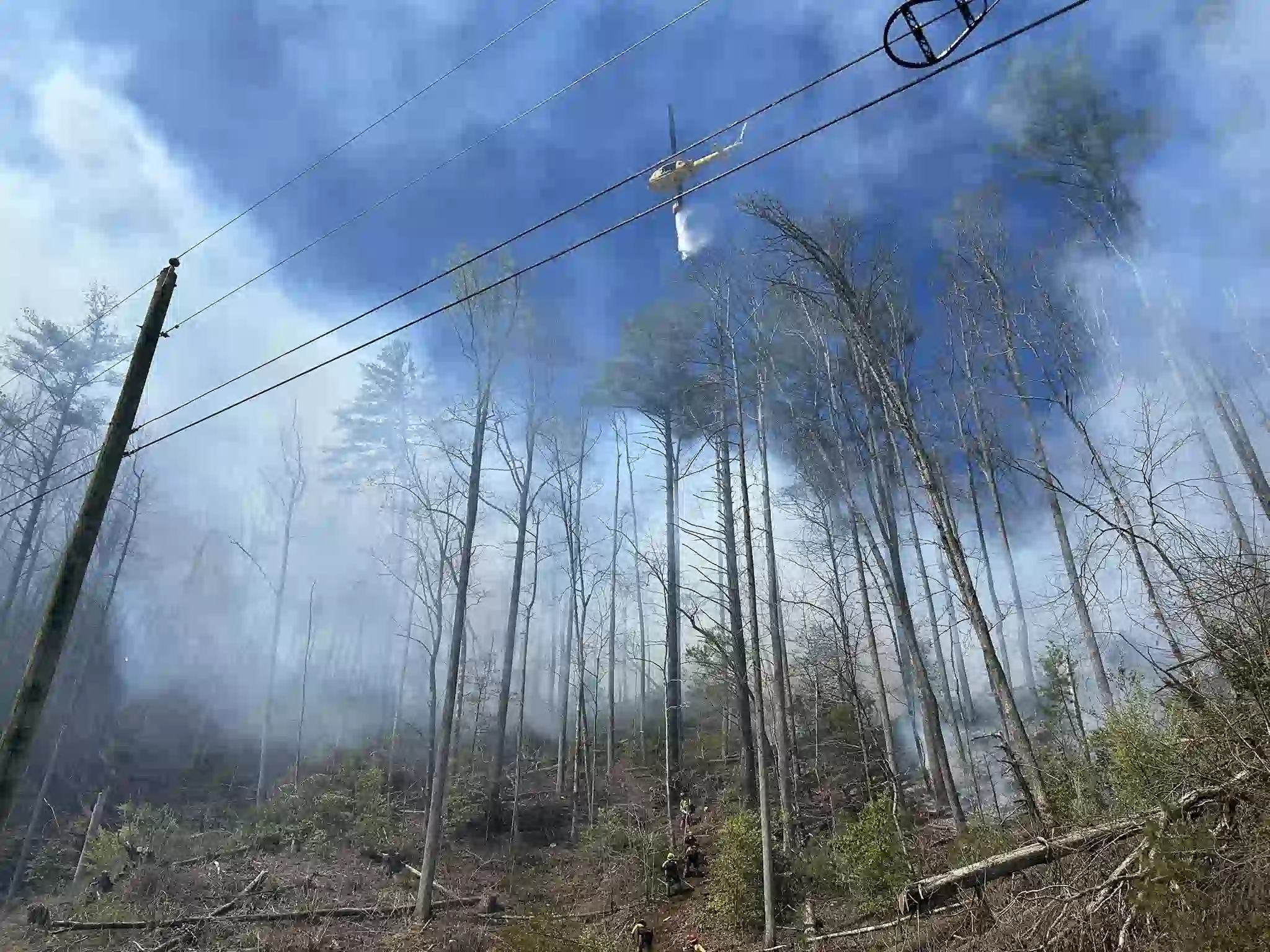 Wildfire on Armstrong Creek Road