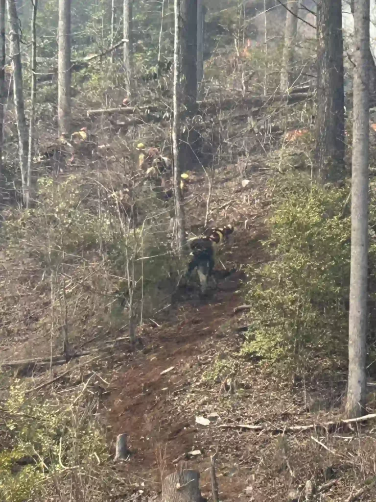 Wildfire on Armstrong Creek Road
