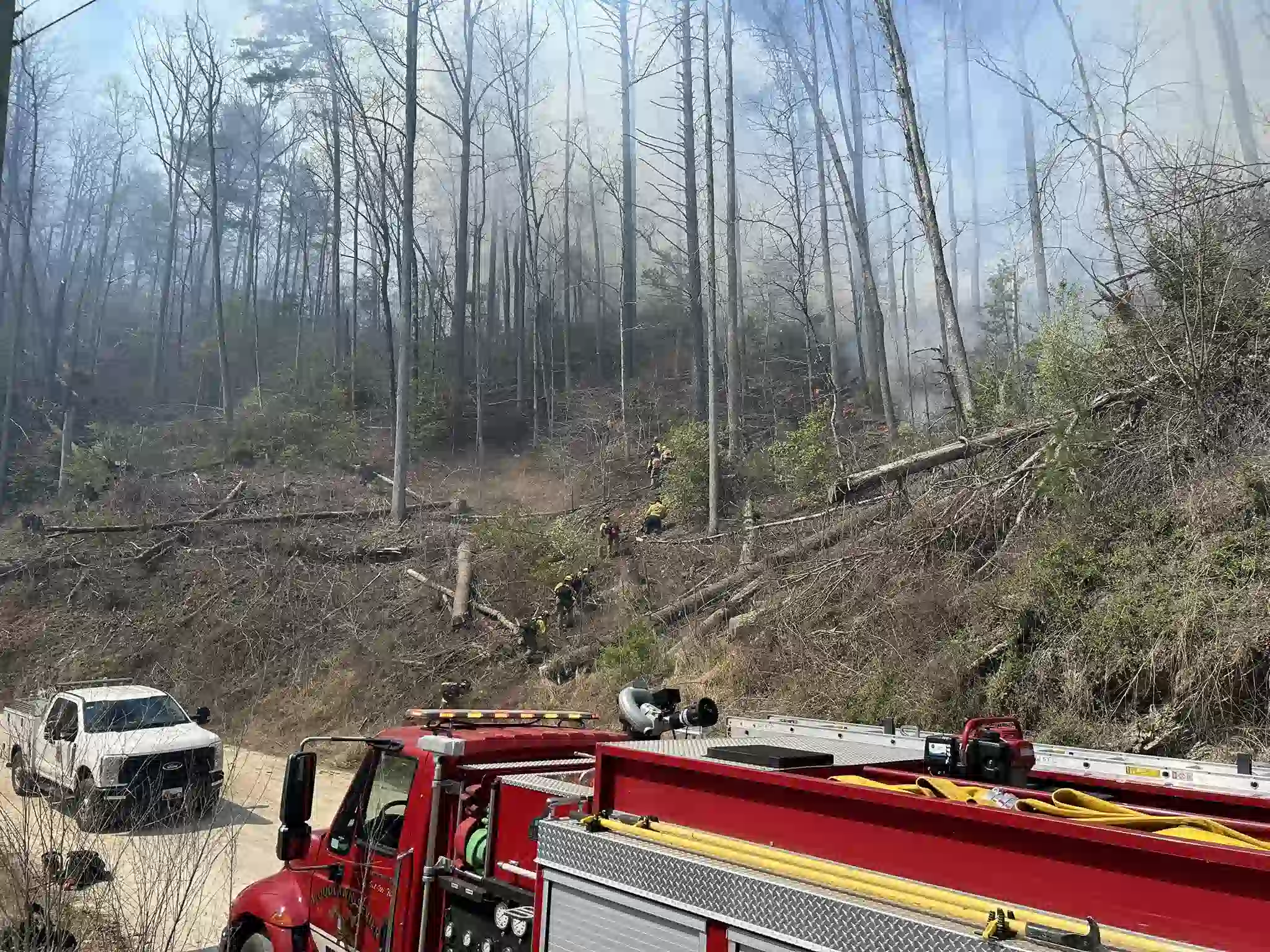 Wildfire on Armstrong Creek Road
