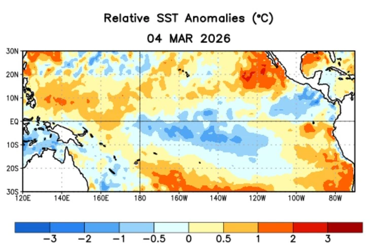 relative sst anomalies march 4 2026