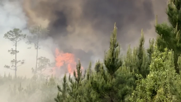 Highway 82 fire in Brantley County, Georgia, on April 22, 2026. Credit: Brantley County Sheriff's Office