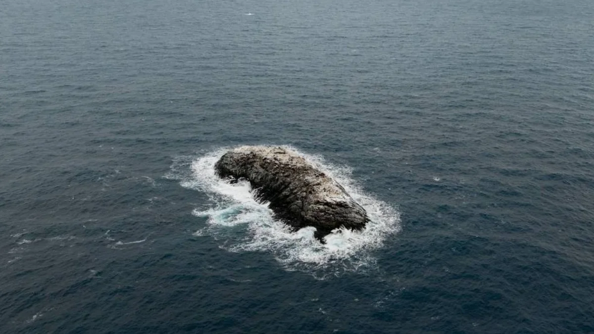 Island in the Weddell Sea yet to be recorded on nautical charts. Credit: Christian Haas, Alfred Wegener Institute