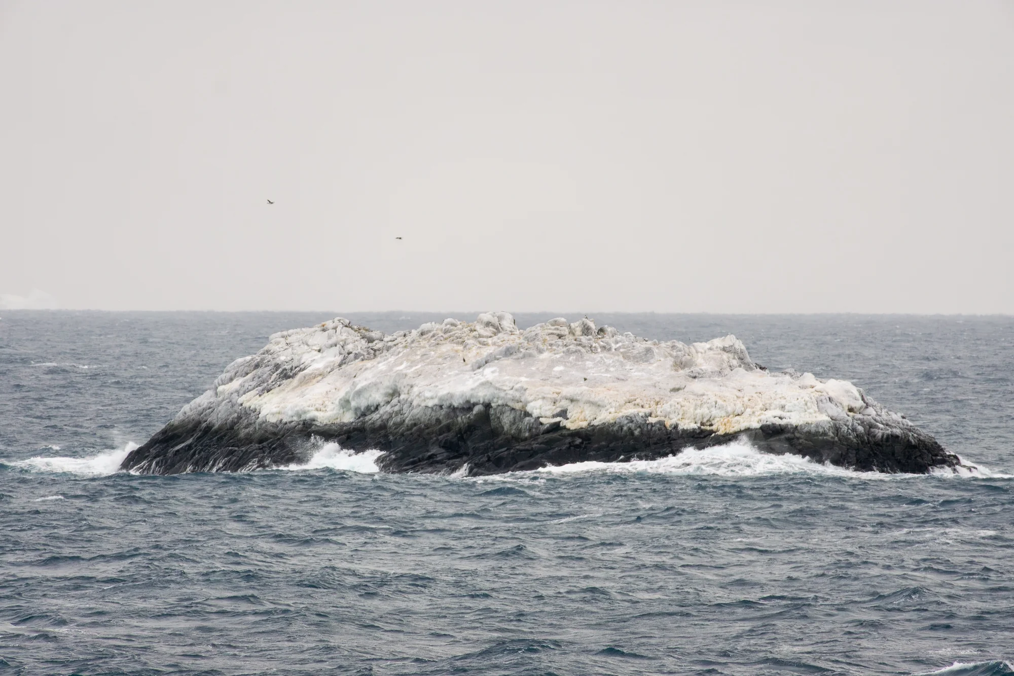 Island in the Weddell Sea yet to be recorded on nautical charts. Credit: Christian Haas, Alfred Wegener Institute