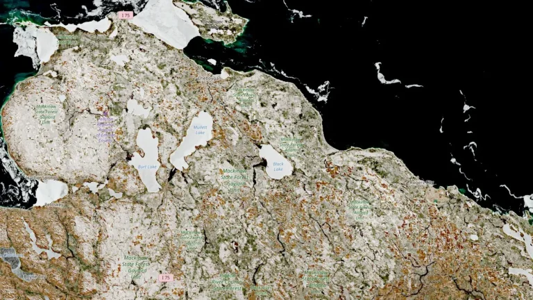 northern michigan satellite image april 11 2026