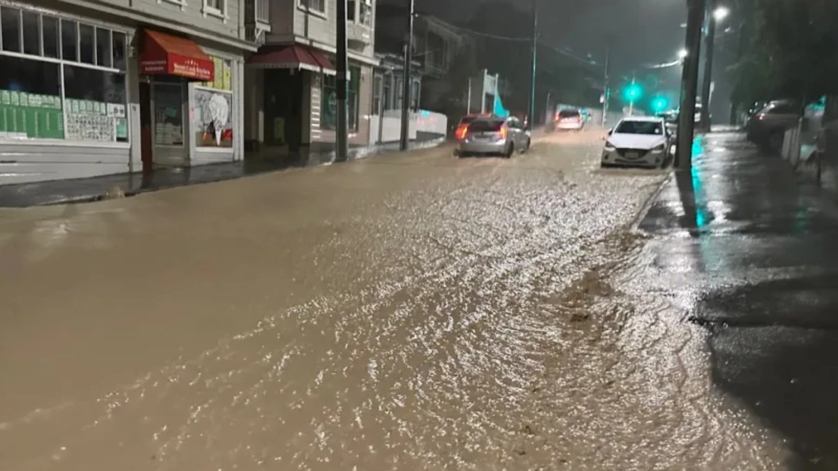 flood wellington april 20 2026 rnz supplied