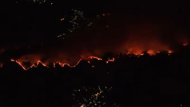 otsuchi japan wildfire april 22 2026