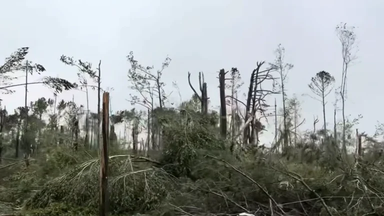 EF3 tornado damage-brookhaven, Mississippi, May 6, 2026