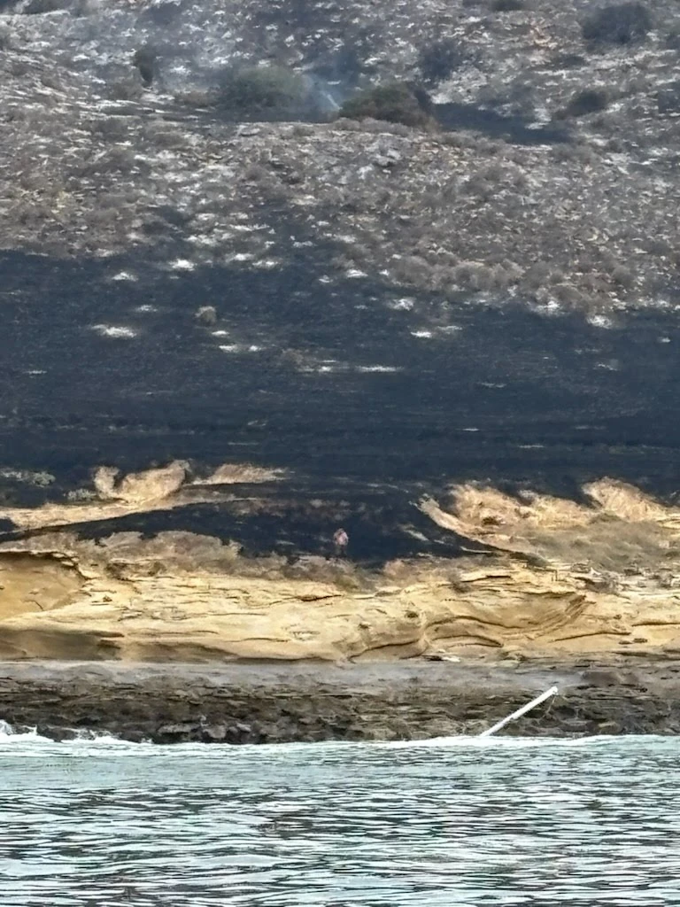 Image of the coastal areas burned by the Santa Rosa Island Fire on May 15, 2026