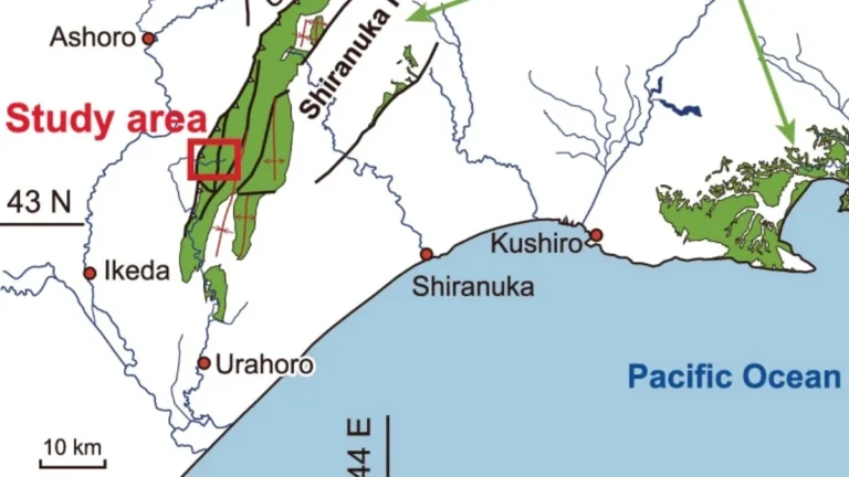 Location map and stratigraphy of the Kawaruppu section
