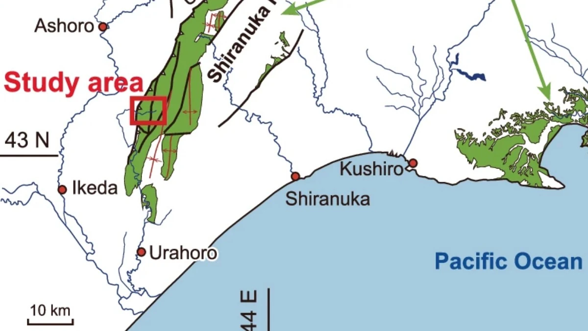 Location map and stratigraphy of the Kawaruppu section