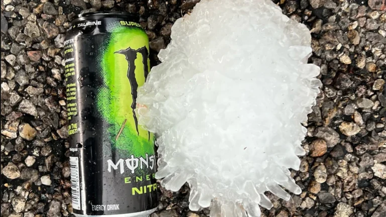 Record breaking hailstone in Swisher County, Texas