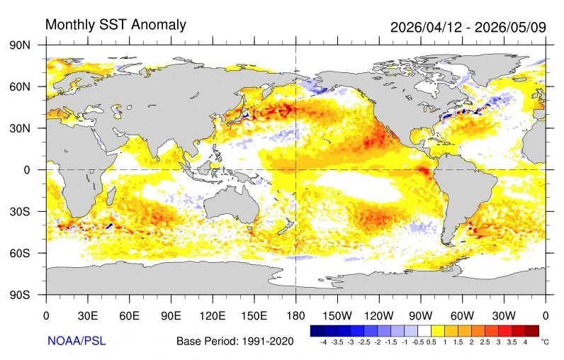 monthly SST anomaly april 12 to may 9 2026 noaa psl