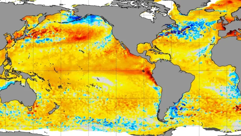 NOAA map showing daily sea surface temperature anomalies across the Pacific Ocean on May 26, 2026, with warmer-than-average waters across parts of the tropical Pacific