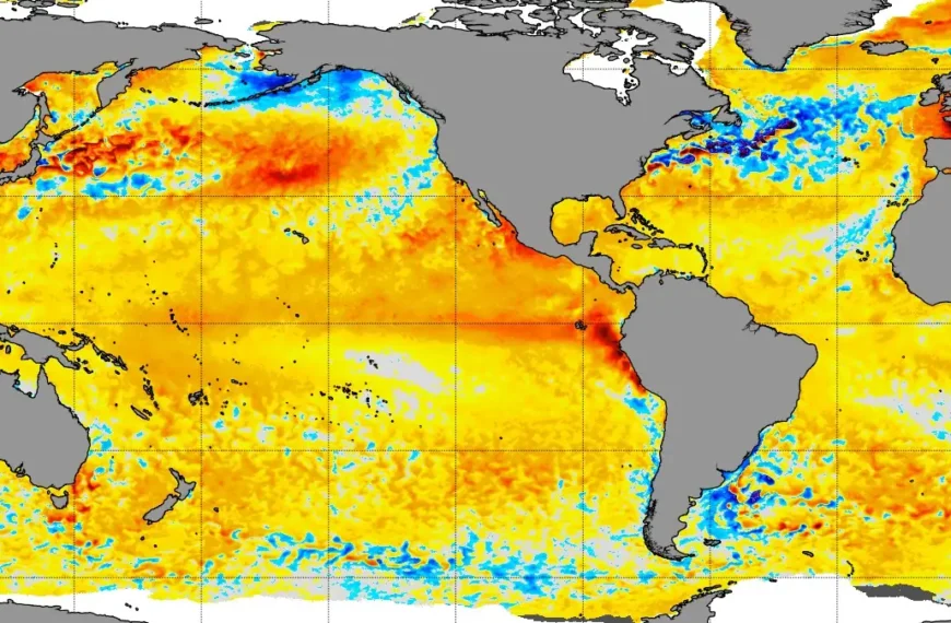 NOAA map showing daily sea surface temperature anomalies across the Pacific Ocean on May 26, 2026, with warmer-than-average waters across parts of the tropical Pacific