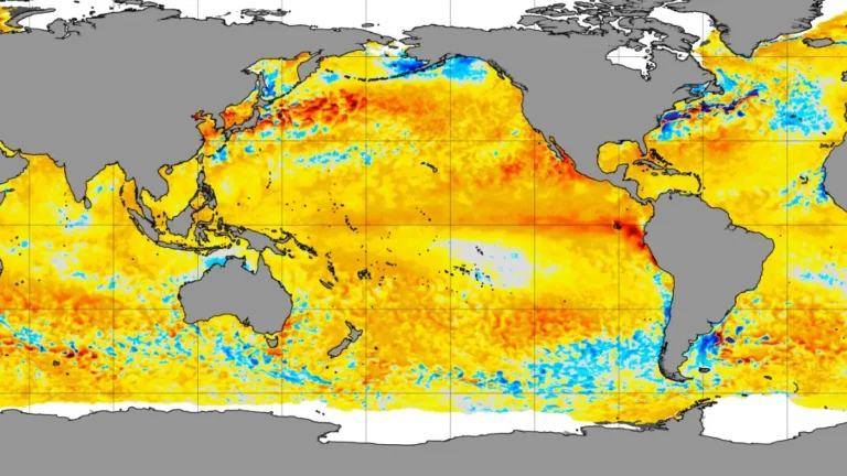 noaa crwd 5km sst anomalies may 13 2026