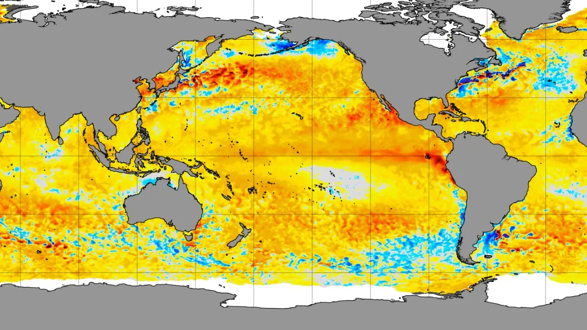 noaa crwd 5km sst anomalies may 13 2026