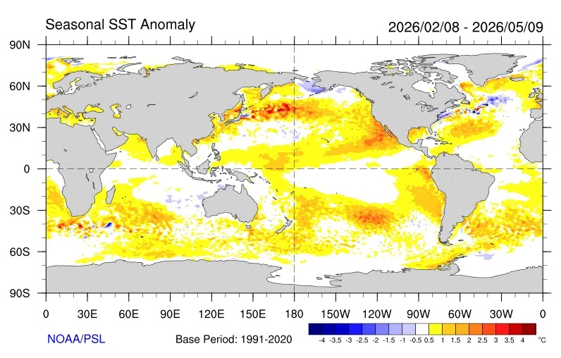 seasonal SST anomaly february 8 to may 9 2026 noaa psl