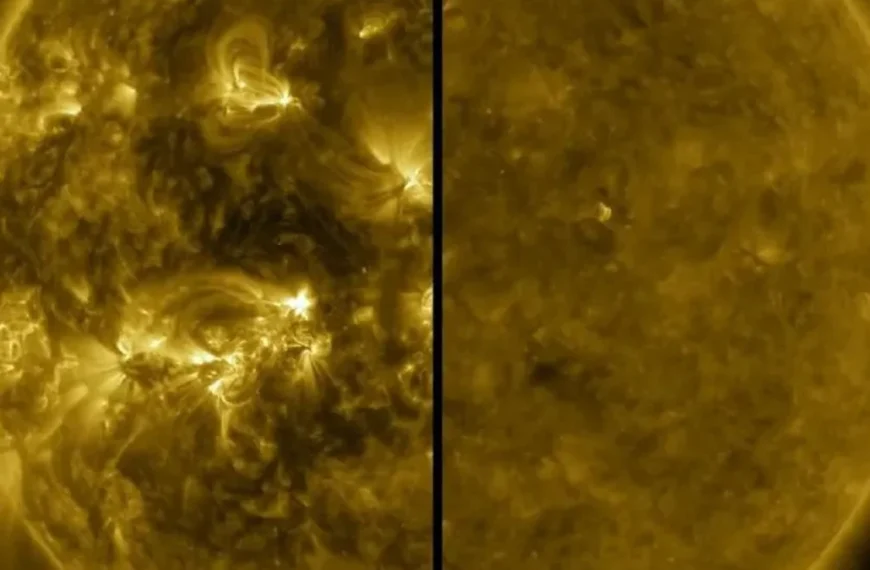 A split image showing an active Sun during solar maximum (left, in 2014) and a quiet Sun during solar minimum (right, in 2019)