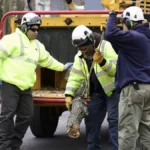 Crews clearing fallen trees in NYC on June 7, 2026 following a summer storm