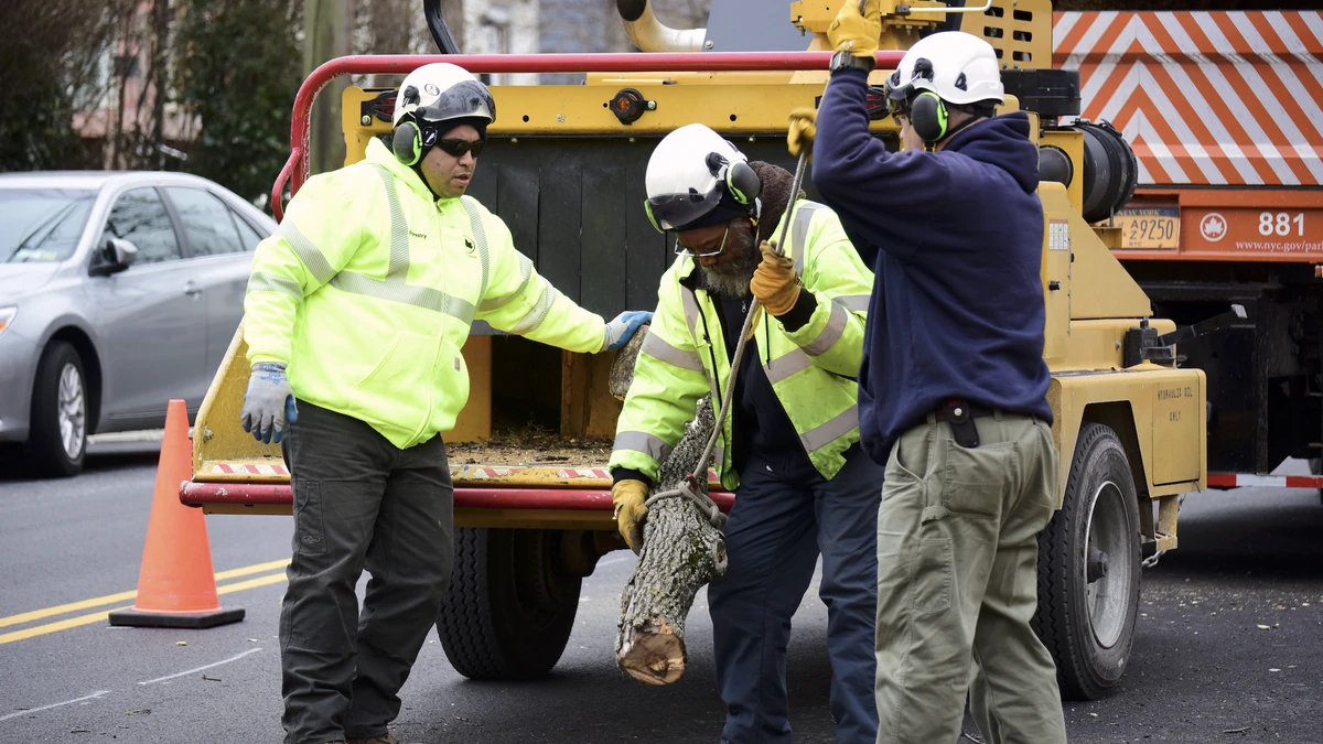 Crews clearing fallen trees in NYC on June 7, 2026 following a summer storm