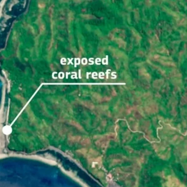 Exposed coral reefs after shoreline retreat in southern Philippines due to the M7.8 Mindanao earthquake
