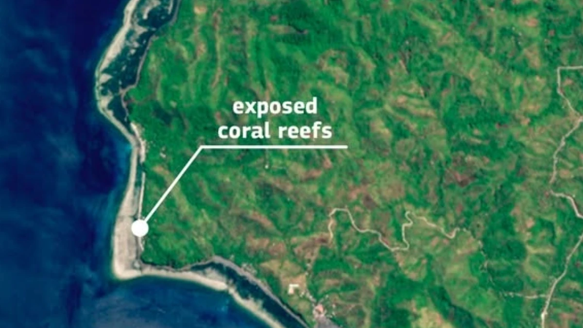 Exposed coral reefs after shoreline retreat in southern Philippines due to the M7.8 Mindanao earthquake